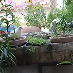 Han/Misafirhane Kismet Cave House 4*