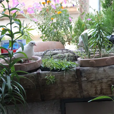 Мини-отель Kismet Cave House 4*