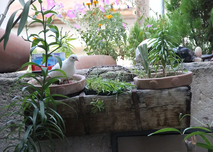 Inn Kismet Cave House 4*